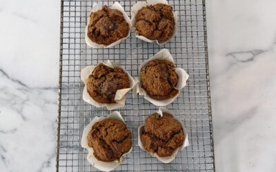Pumpkin Cranberry Oat Muffins