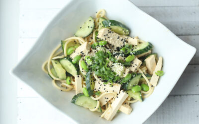 Chilled Cucumber and Sesame Noodles with Tofu